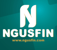 Ngusfin